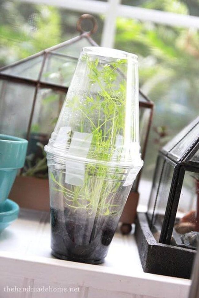 Transparent Plastic Windowsill Garden