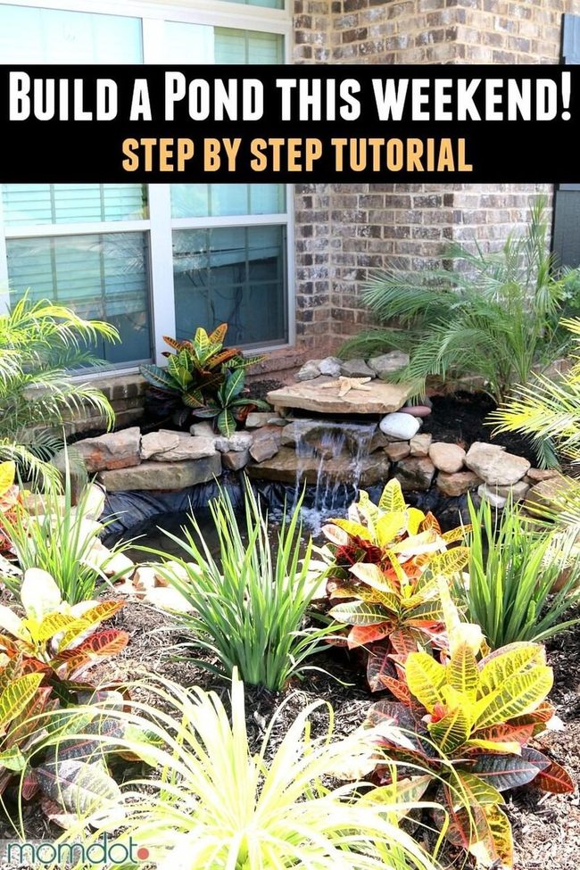 Backyard Water Features With Living Plants