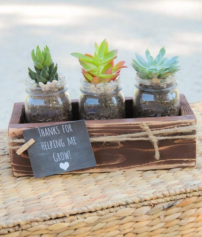 Green Succulents In Mason Jars