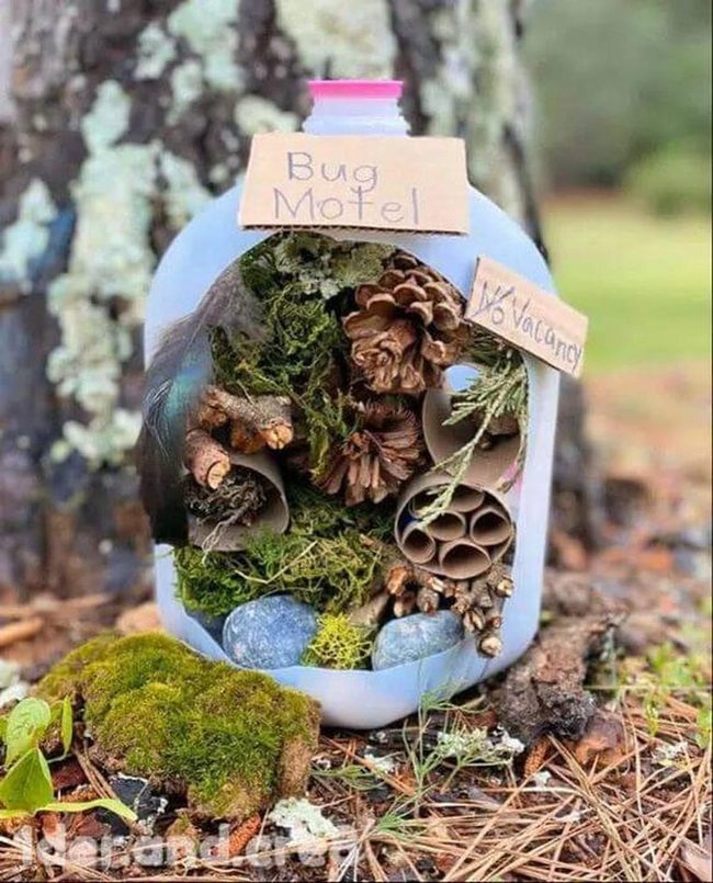 Pine Cone Insect Hotel