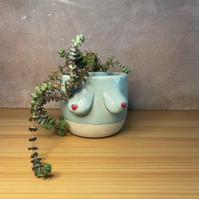 Pink Ceramic Curves Plant Holders