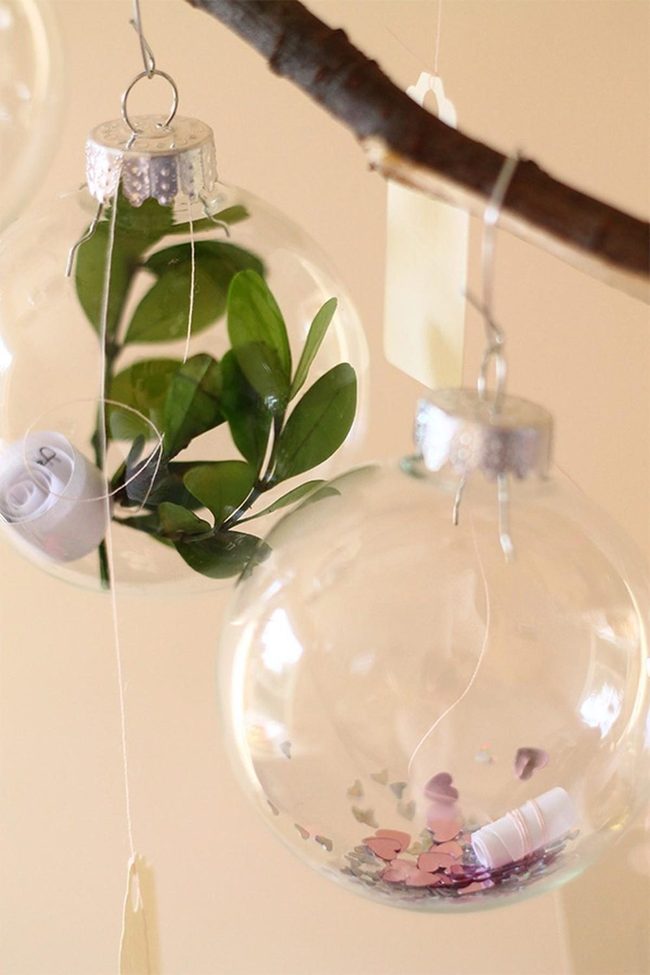 Transparent Glass Globes With Botanical Details
