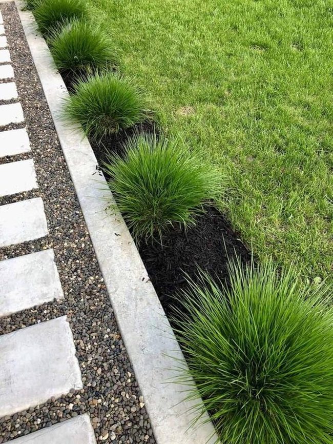 Green Spheres Dark Mulch Garden