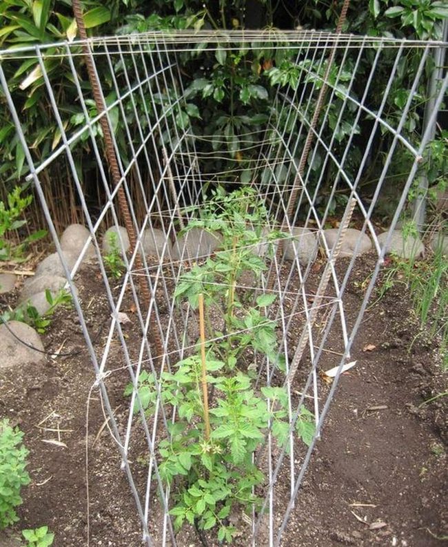 Modern Grid Plant Support