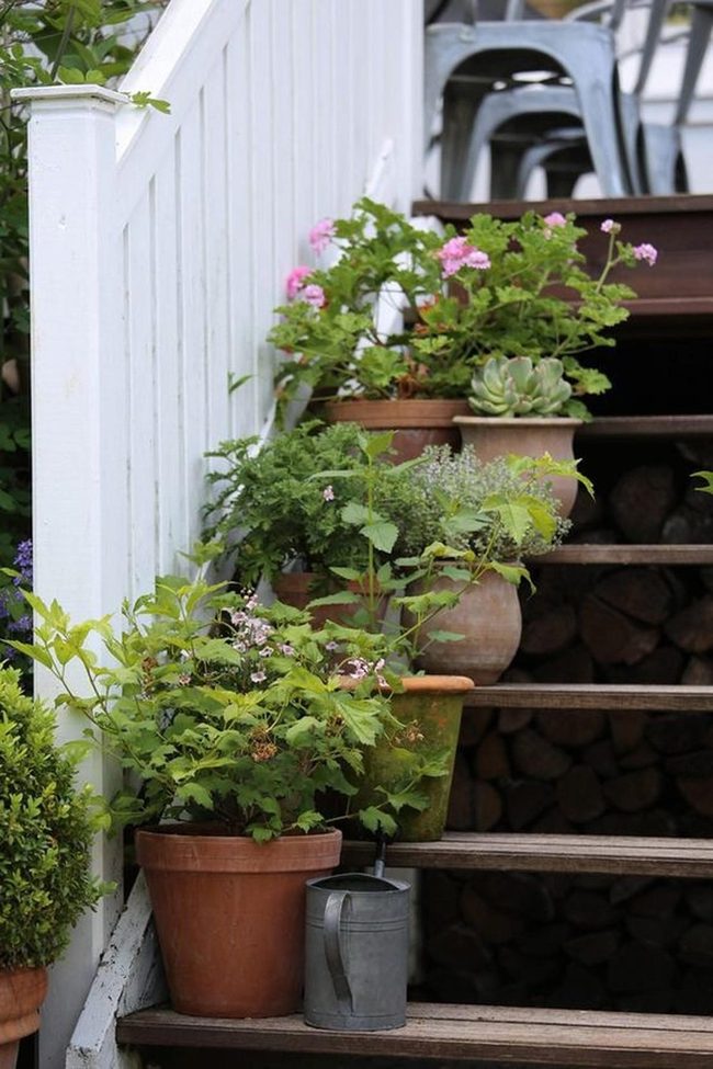 Pink Blooms Terracotta Porch Garden