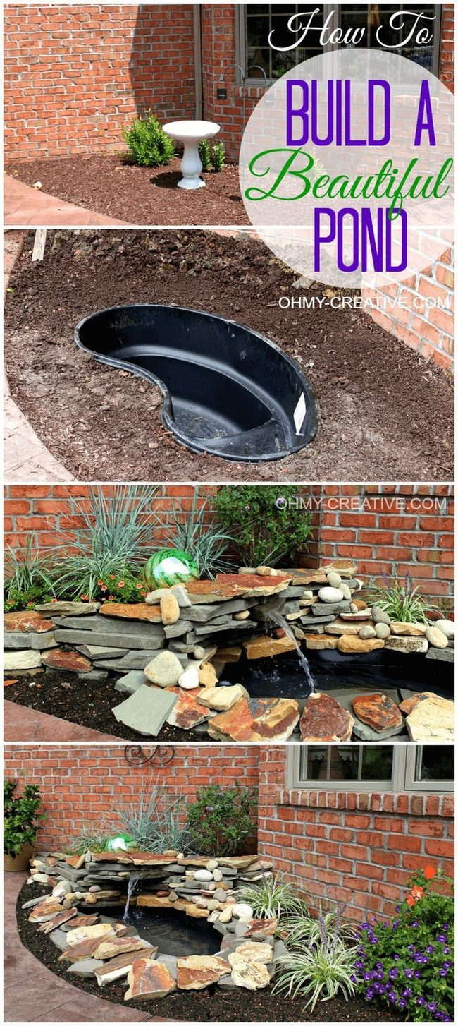 Backyard Water Lilies And Stone