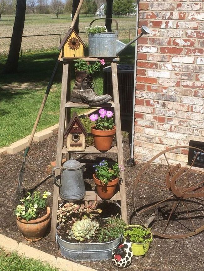 Weathered Ladder Overflowing With Blooms