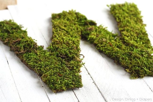 Green Moss Living Letters