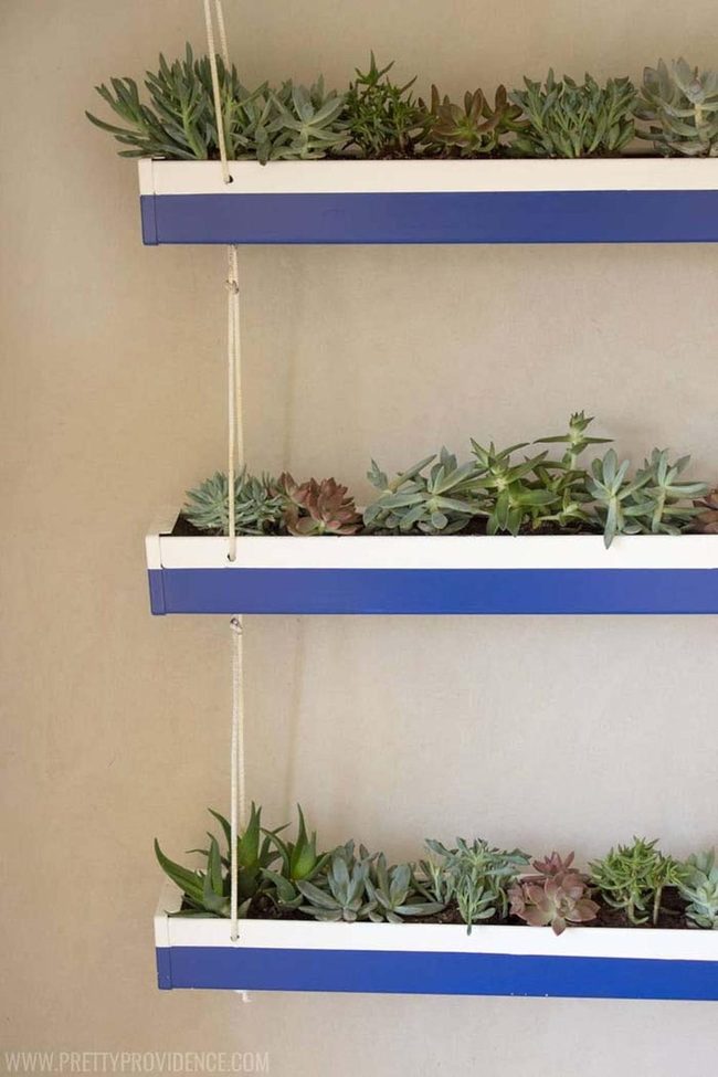 Striped Blue Gutters With Succulents