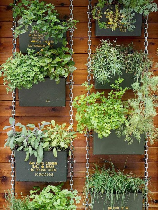 Floor-To-Ceiling Green Walls