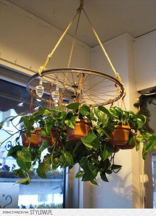 Bicycle Wheel Hanging Garden