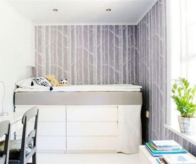 Gray Forest Walls In Compact Space