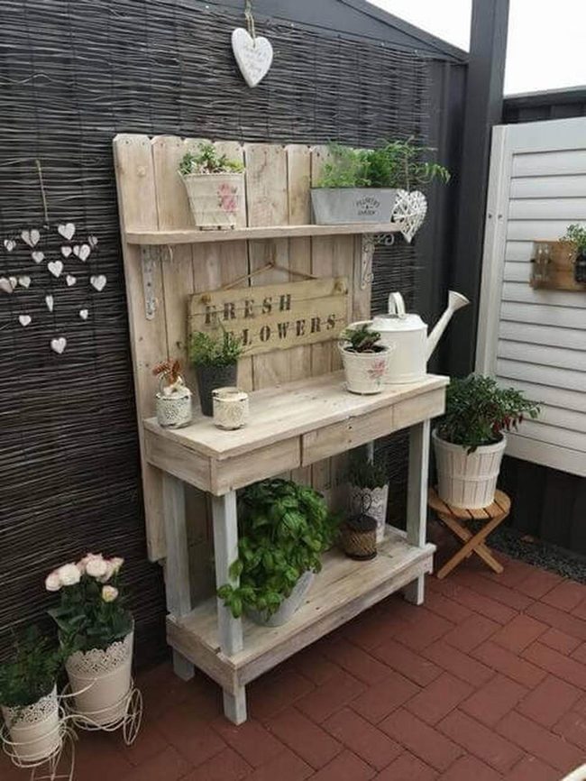 Green Shelves, Evening Gardening Light