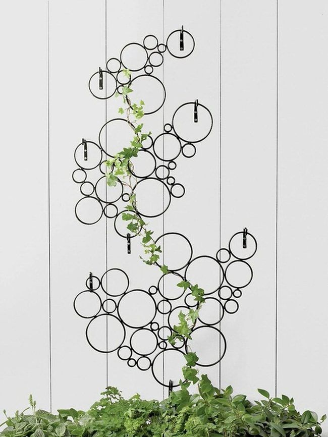 Circular Frames Guide Climbing Green