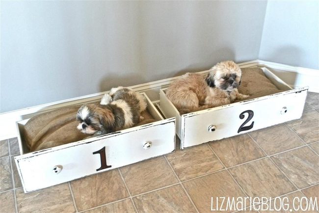 Painted Drawer Pet Nests