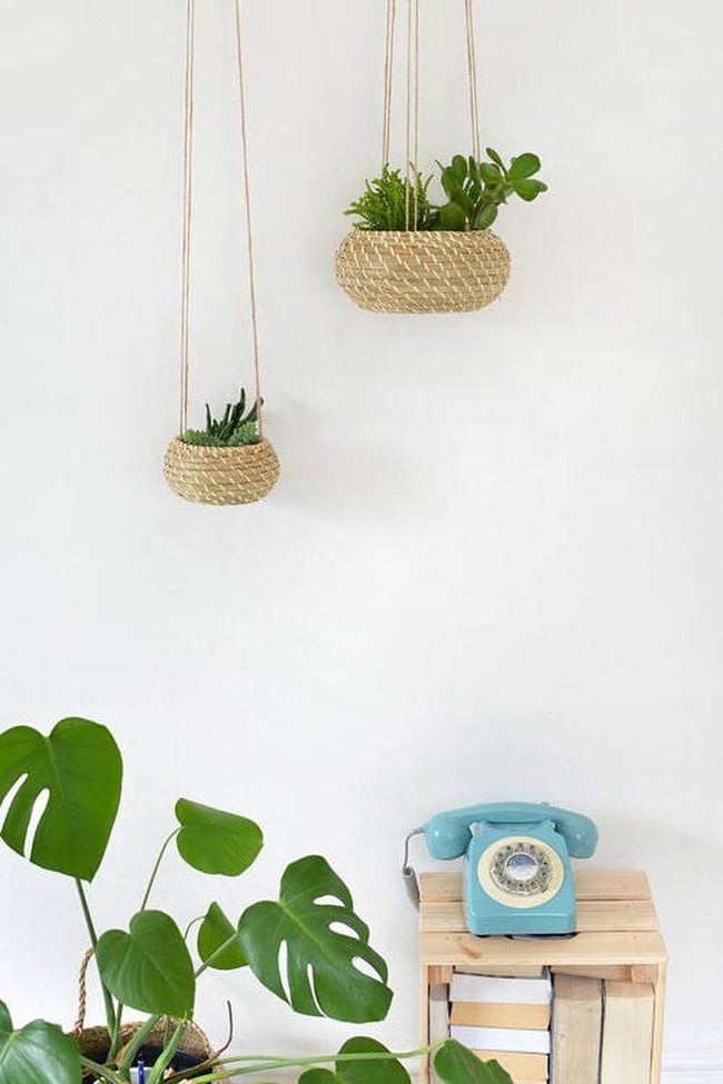 Woven Seagrass Plant Holders
