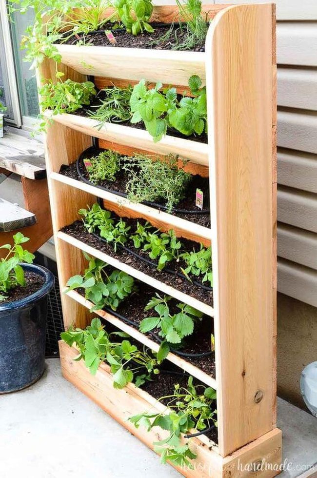 Green Herb Tower Wooden Shelves