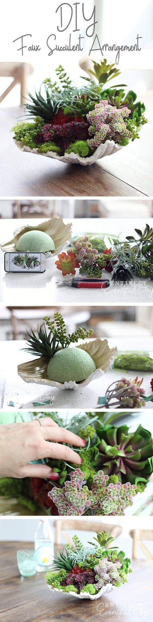 Seashell And Emerald Plant Pair