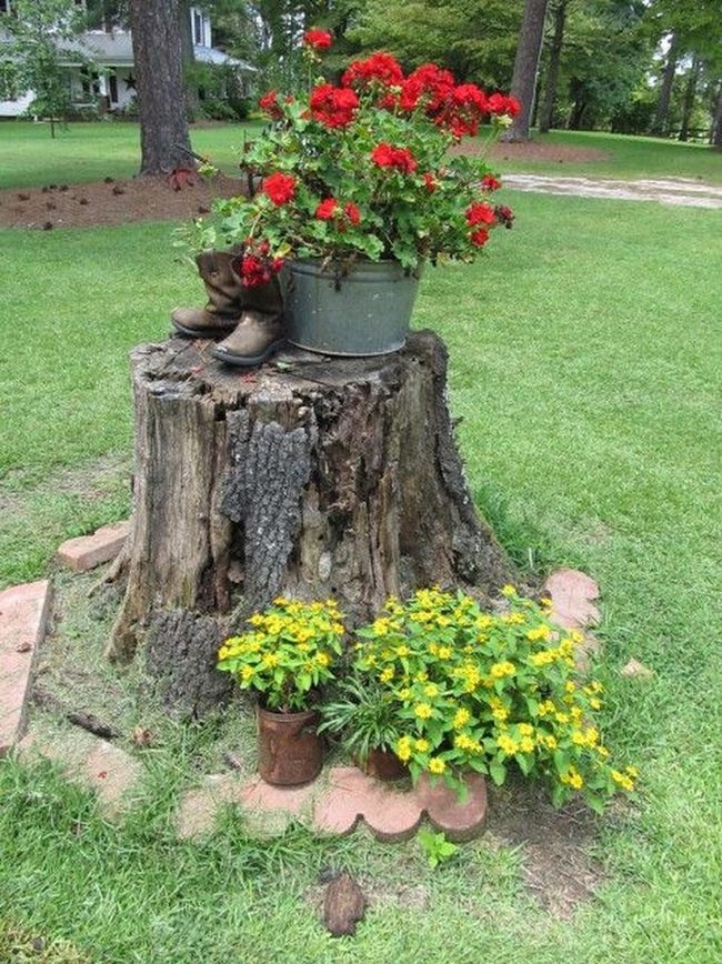 Red Flowers On Weathered Wood