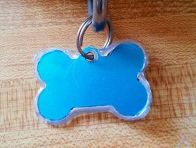 Blue Metallic Pet Tag Brilliance