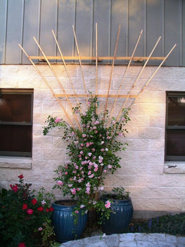 Bamboo Sunburst Garden Trellis