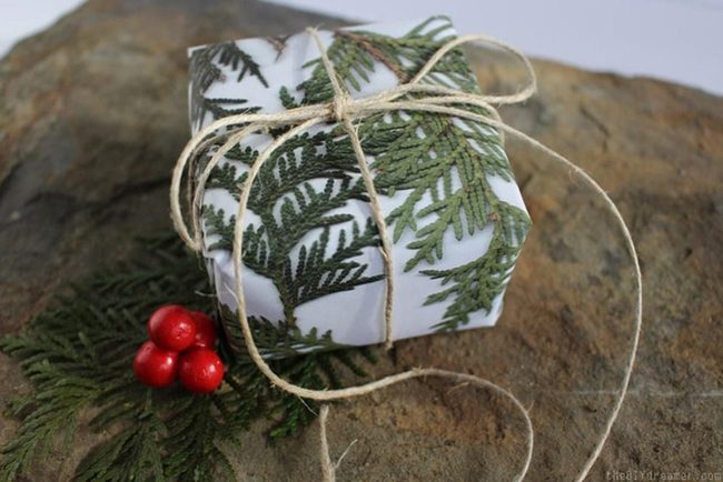 Green Pine Boxes With Red Berries