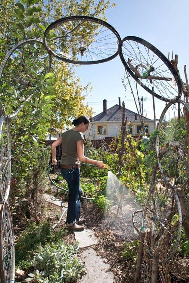 Bicycle Wheel Arch With Vines