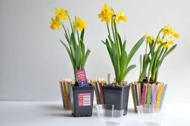 Painted Clothespins Plant Pot Trim