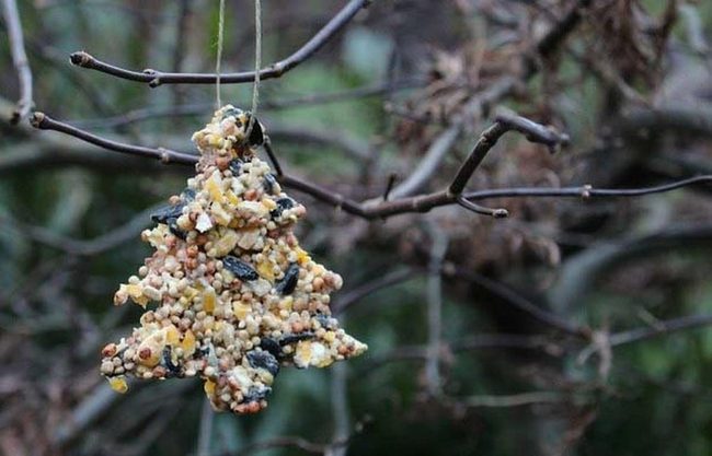 Edible Birdseed Tree Ornaments