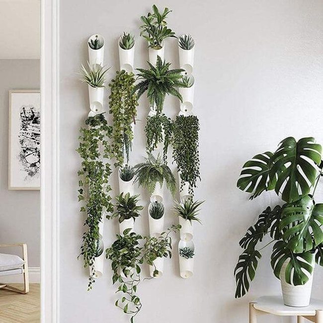 Living Wall Of Cascading Green