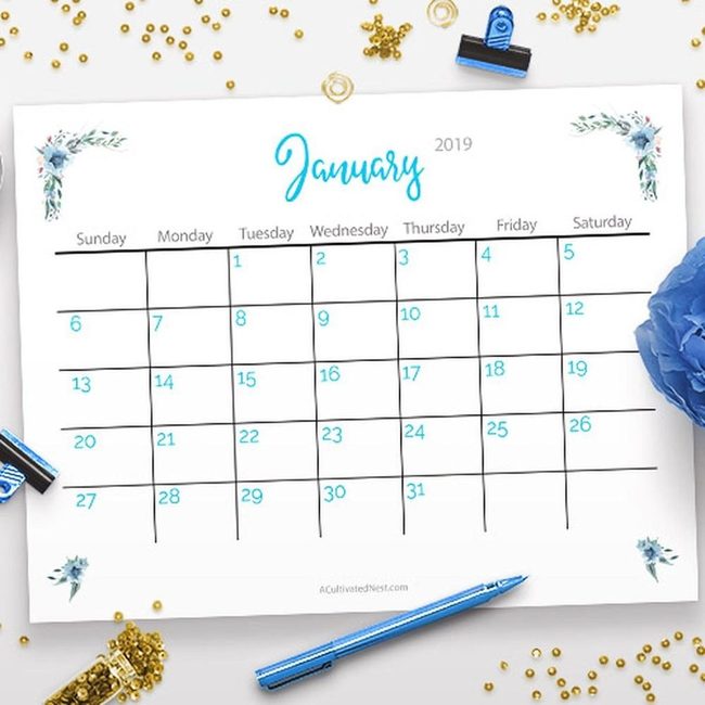 Blue Numbers On White Planning Pages