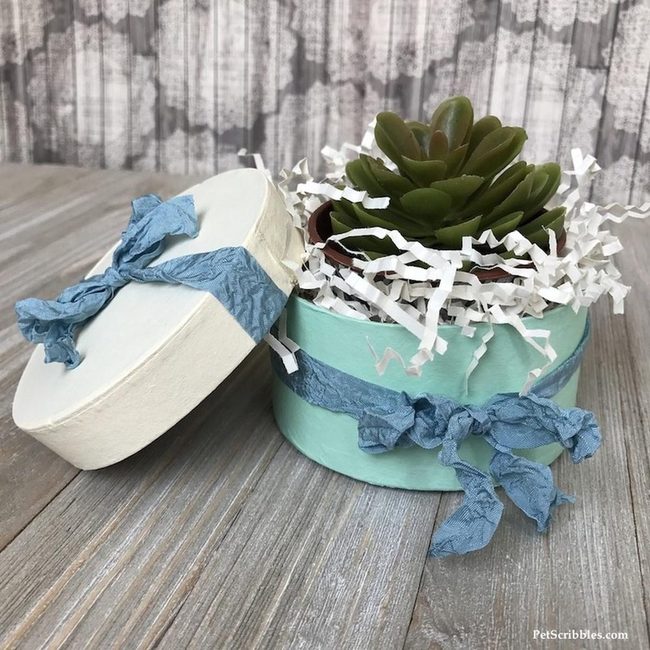 White Paper Succulents In Blue Boxes