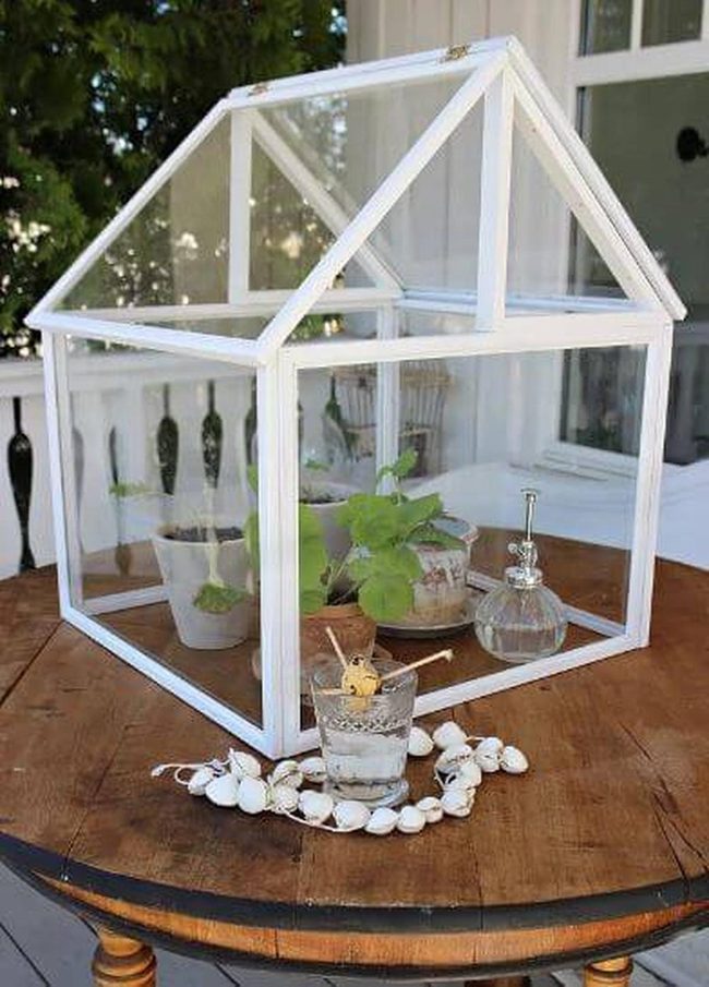 Glass House With Living Plants