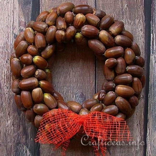 Shiny Brown Acorns Red Bow