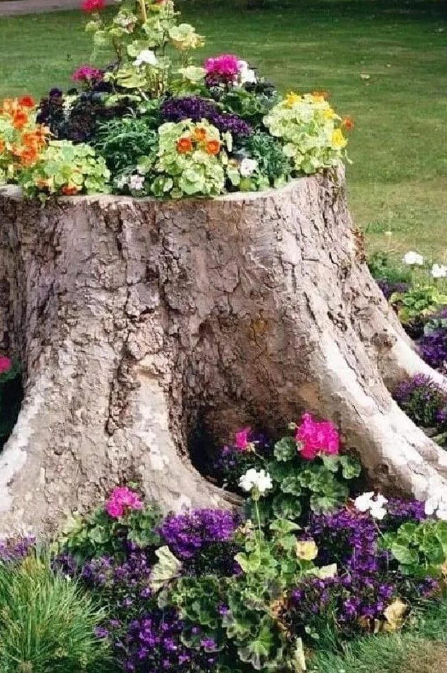Hollow Stump Flower Planter