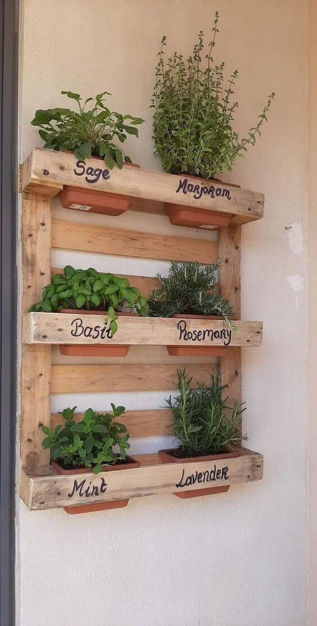 Wooden Pallet Herb Wall