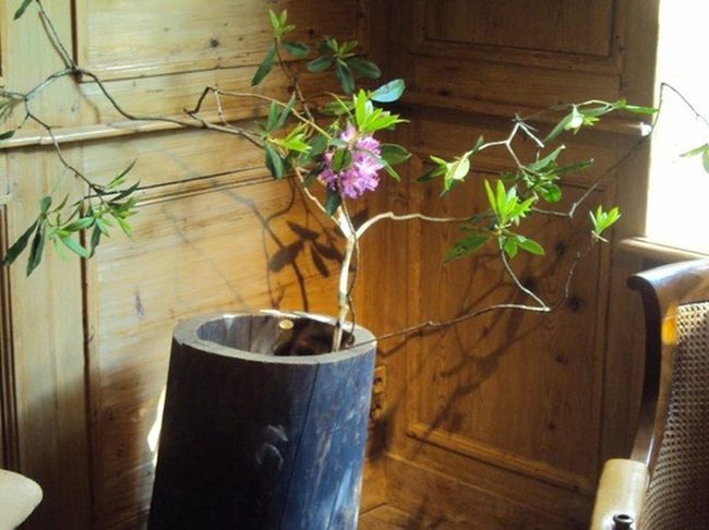 Natural Wood, Living Greens, Pink Blooms