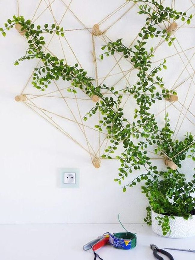 Diagonal Rope Plant Architecture