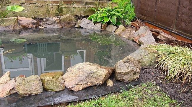 Hand-Dug Garden Pond With Living Fish