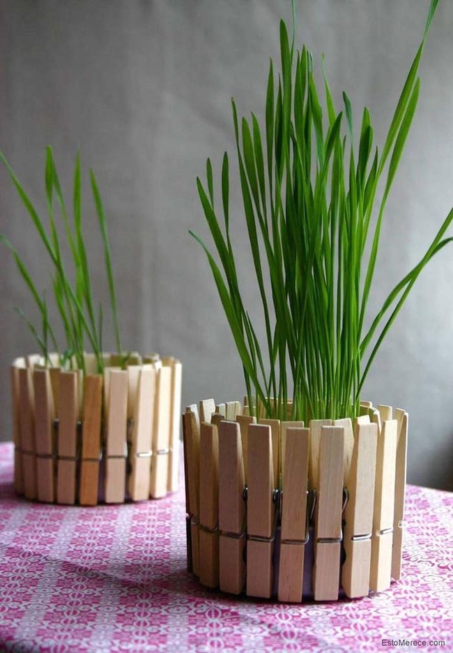 Tin Cans Into Garden Gold