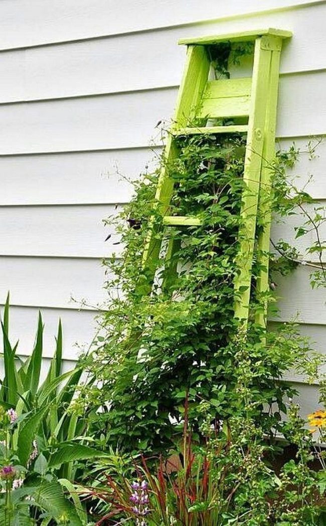 Green Ladder Living Wall