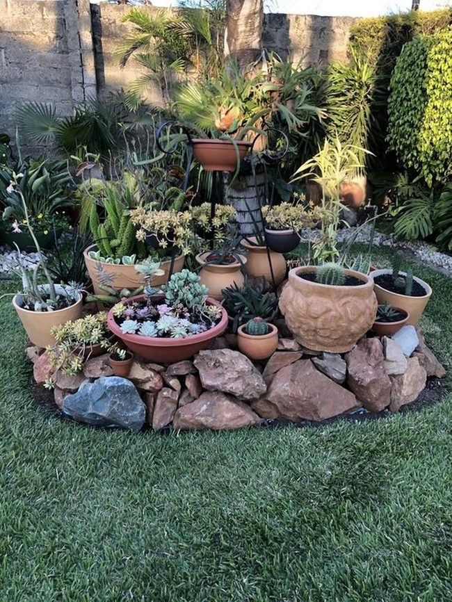 Black Metal Lifted Desert Succulents