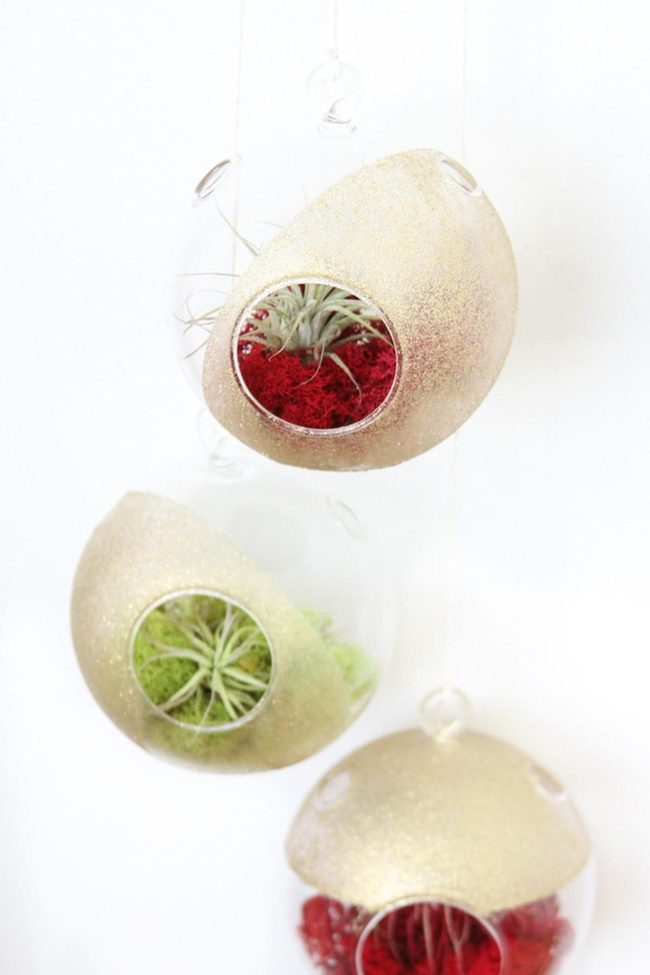 Suspended Glass Spheres With Moss