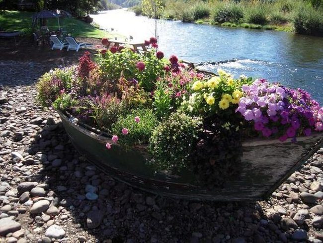 Weathered Boats Blooming Flowers