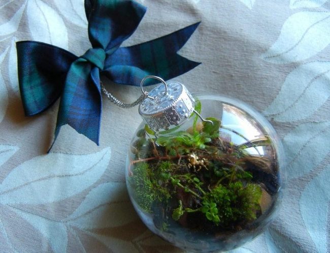 Glass Sphere Miniature Garden