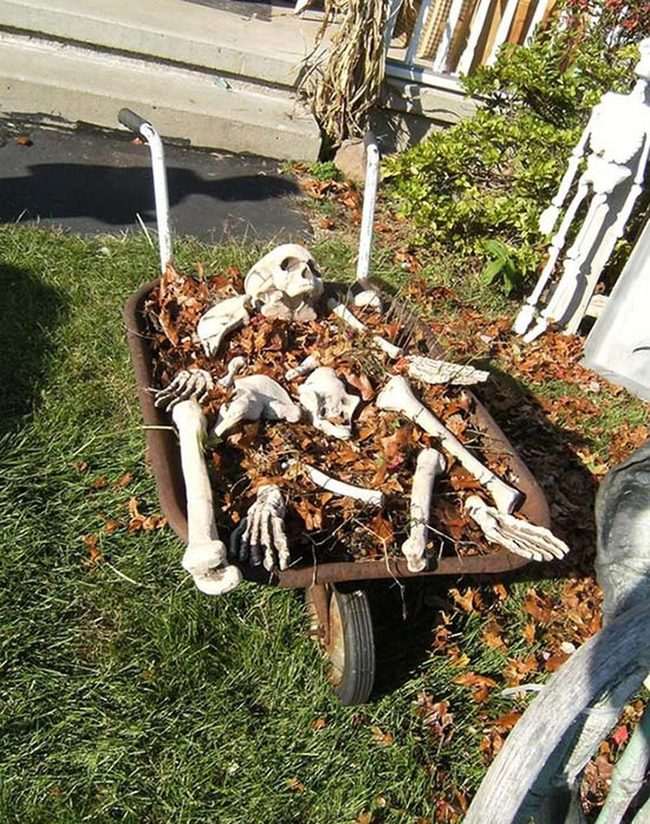 Weathered Wheelbarrow Spilling Bones