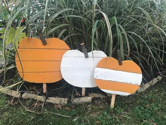 Giant Pallet Pumpkins Yard Statement
