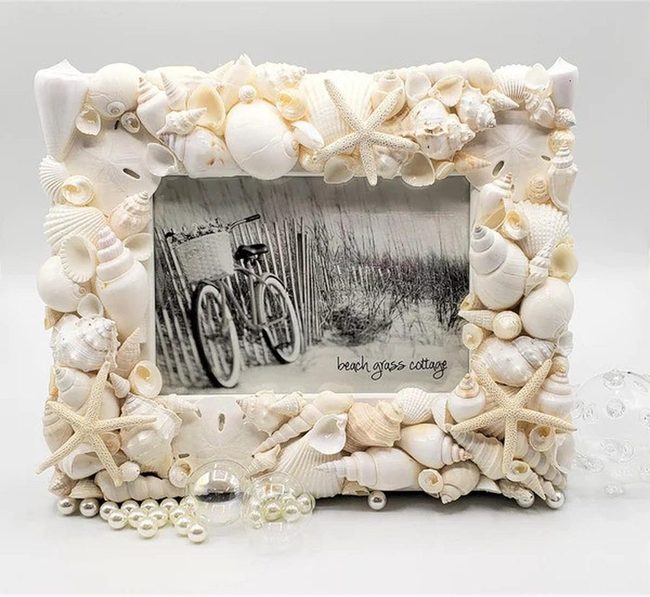 Shells Frame Your Beach Memories
