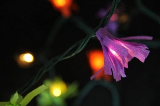 Glowing Flower Petals In Rainbow Hues