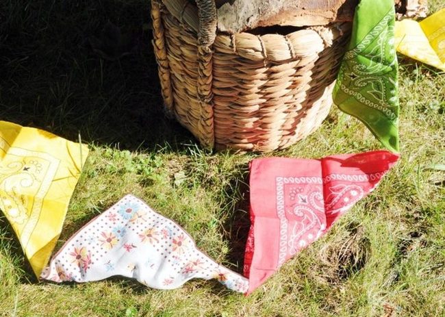 Bandanas In Bright Primary Colors On Grass